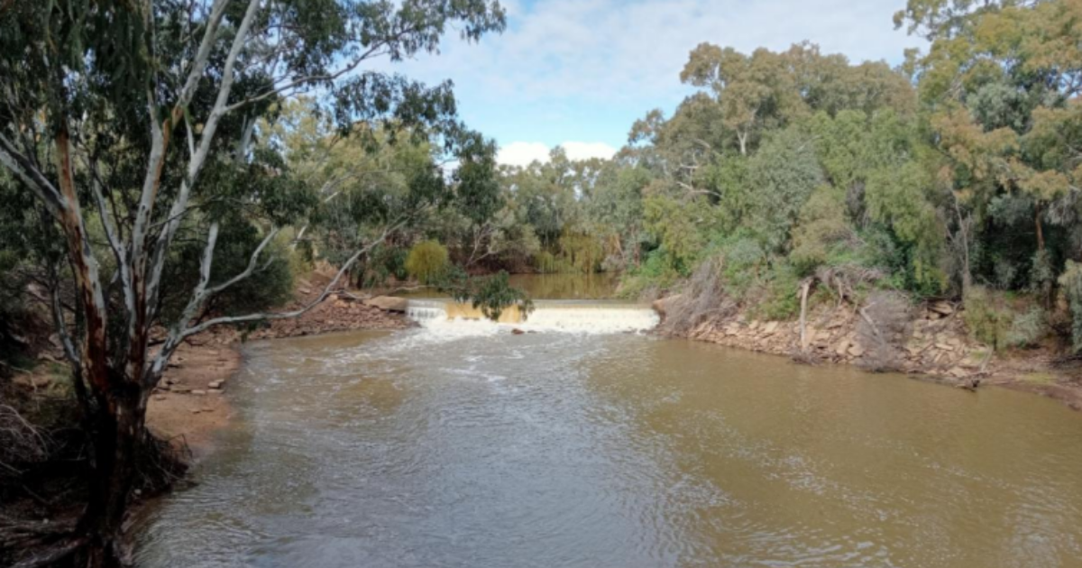 Media Release: Council Calls for Stronger Regional Water Security in Basin Plan Review