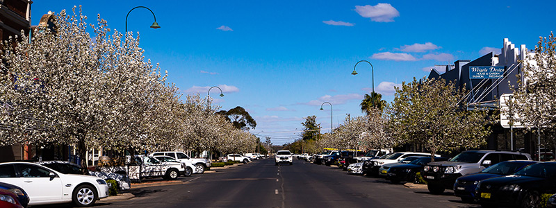 Warren Shire Council