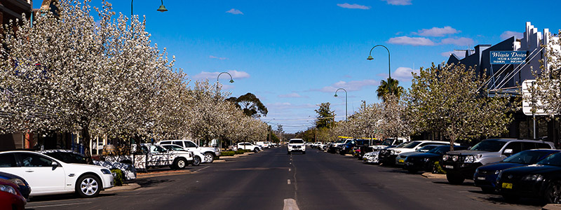 Council Documents at Warren Shire Council