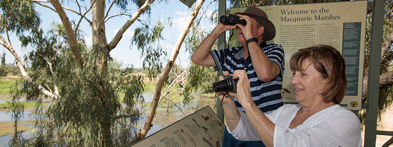 Macquarie Marshes