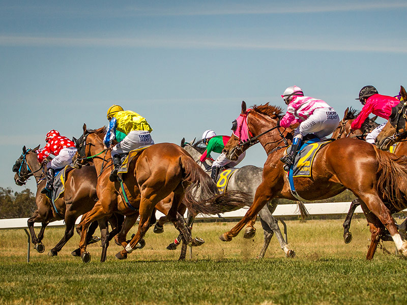 Cotton Cup Race Meeting