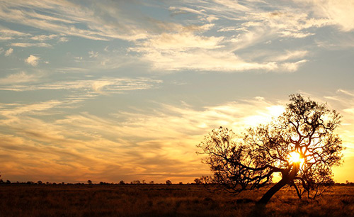 NSW Drought Package - Post Image